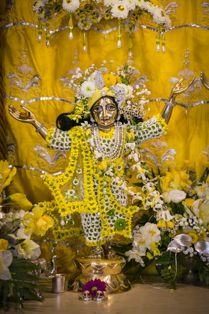 Brahmotsava - Sri Sri Gaura Nitai appearance day, 2018