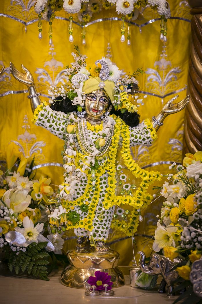 Brahmotsava - Sri Sri Gaura Nitai appearance day, 2018